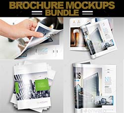 杂志/产品手册展示模型(五套合集版)：A/4 A/5 Brochure Big Bundle